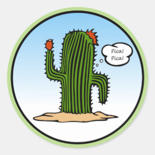 Adesivo Redondo Pica Pica Cactus Sticker