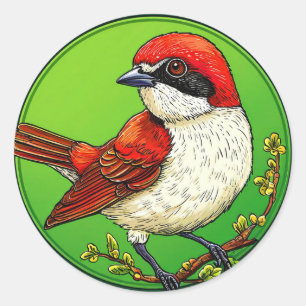 Adesivo Redondo Picanço-de-costas-vermelhas 🦜 Arte de Vida Selvag