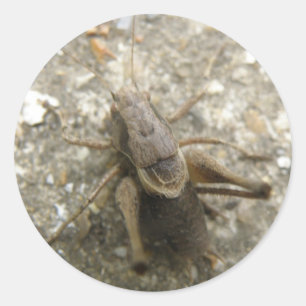 Adesivo Redondo Picareta de Campo Castanho