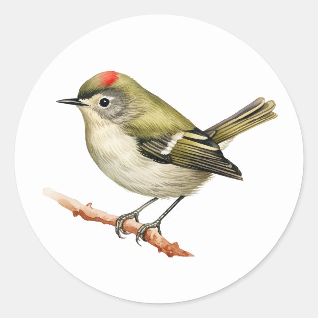Adesivo Redondo Picaretas de Kinglet Bird, coroadas de rubi (Frente)