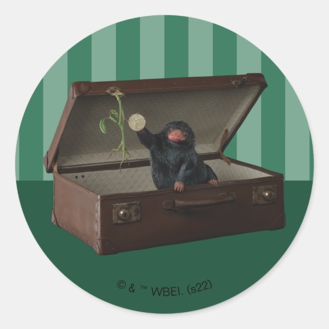 Adesivo Redondo Pickett & Teddy in Briefcase (Frente)