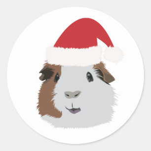Adesivo Redondo Pig Guiné Natal