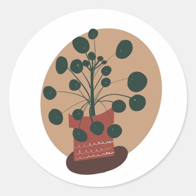 Adesivo Redondo Pilea Famílias Plantações Pote Verde (Frente)