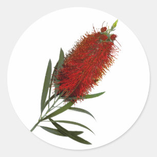Adesivo Redondo Pincel do Frasco Vermelho Flame