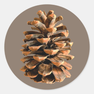 Adesivo Redondo Pine Cone