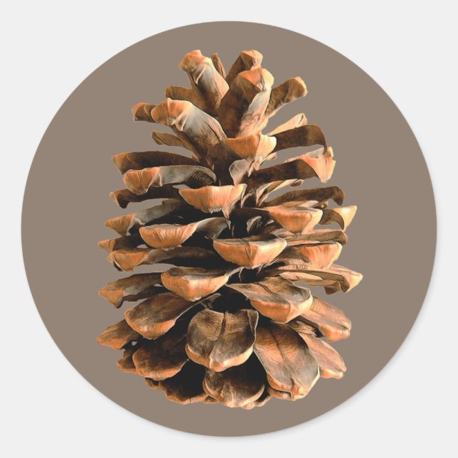 Adesivo Redondo Pine Cone (Frente)
