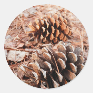 Adesivo Redondo Pinecones