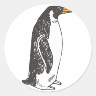 Adesivo Redondo Pinguim