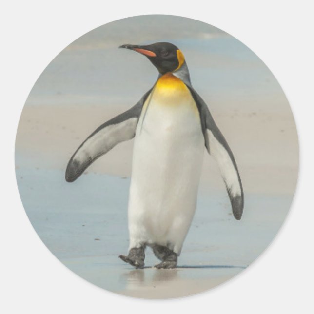 Adesivo Redondo Pinguim caminhando na praia (Frente)