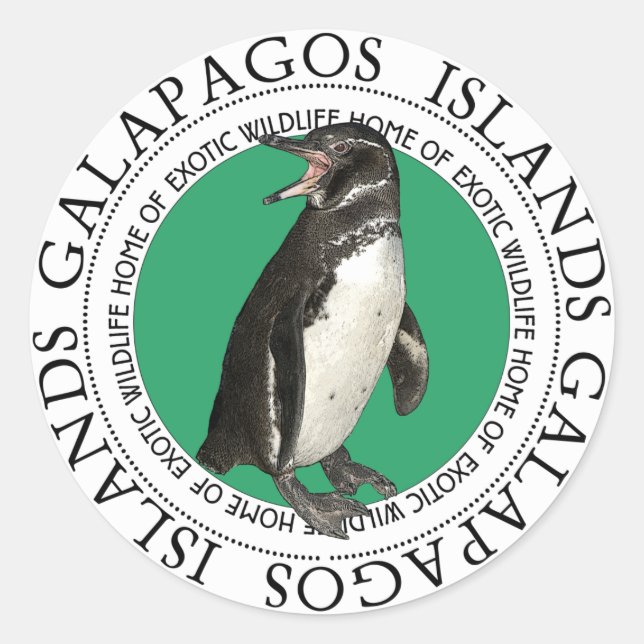 Adesivo Redondo Pinguim das Ilhas Galápagos (Frente)