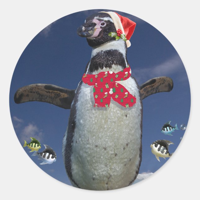 Adesivo Redondo Pinguim Festivo (Frente)