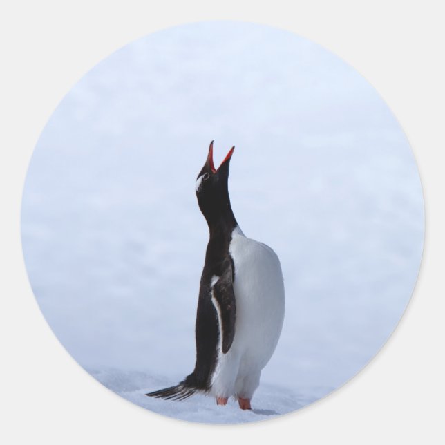 Adesivo Redondo Pinguim Gentoo (Frente)