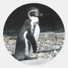 Adesivo Redondo Pinguim Solitário