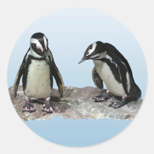 Adesivo Redondo Pinguins