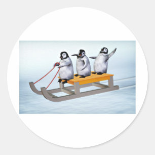 Adesivo Redondo Pinguins Sled