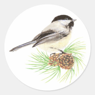 Adesivo Redondo Pinheiro bonito do pássaro do Chickadee da