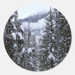 Adesivo Redondo Pinheiros