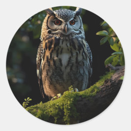 Adesivo Redondo Pinheiros Amigos Da Floresta - Floresta Única Pa