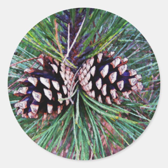 Adesivo Redondo Pinho de inverno vem (Frente)