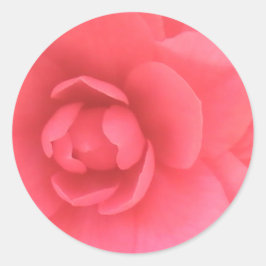 Adesivo Redondo Pink Camellia