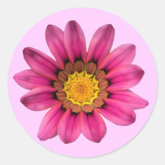 Adesivo Redondo Pink Daisy Sticker