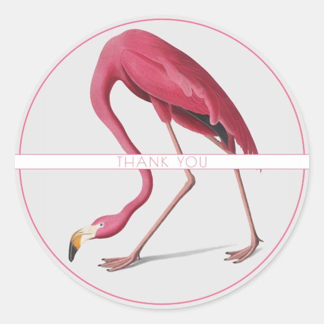 ADESIVO REDONDO PINK FLAMINGO ROUND CUSTCKER (Frente)