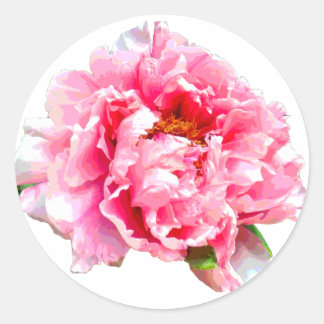 ADESIVO REDONDO PINK PEONY