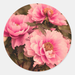 Adesivo Redondo Pink  Peony Flower