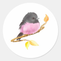 Pink Robin Bird Sticker
