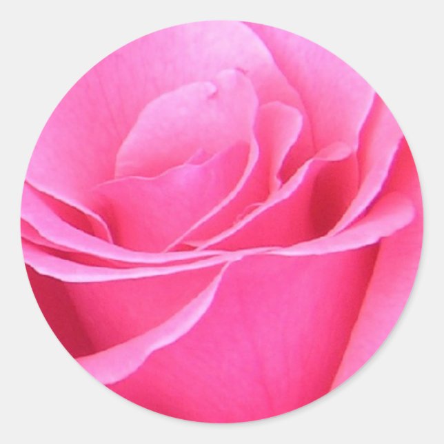 Adesivo Redondo Pink Rose Sticker (Frente)