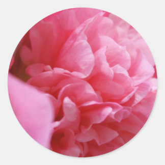 Adesivo Redondo Pinkalicious