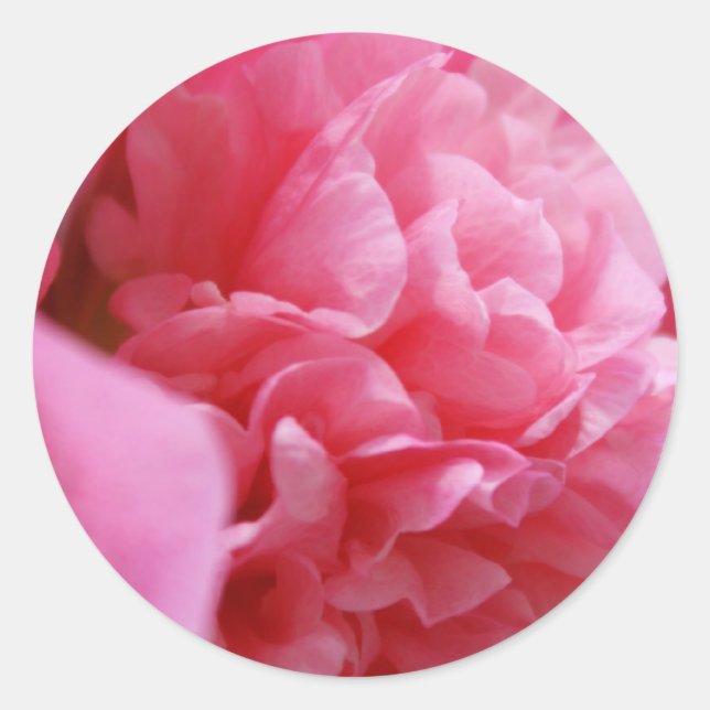 Adesivo Redondo Pinkalicious (Frente)