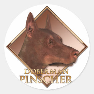 Adesivo Redondo Pinscher do Doberman