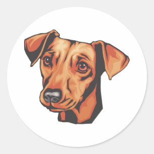 Adesivo Redondo Pinscher Miniatura
