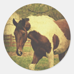 Adesivo Redondo Pinto