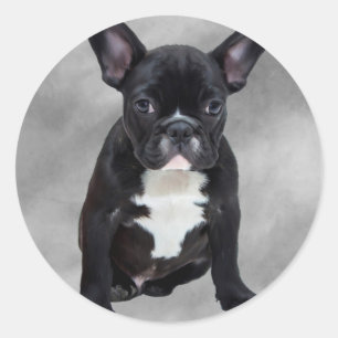 Adesivo Redondo Pintura a Óleo Aquarela de Bulldog Francês Sentado