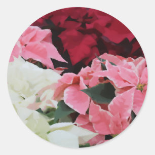 Adesivo Redondo Pintura de flores de Poinsettia, de inverno, de co