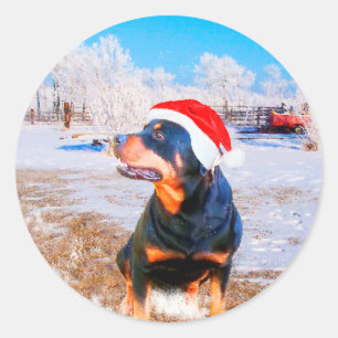 Adesivo Redondo Pintura de Natal do Cão Rottweiler