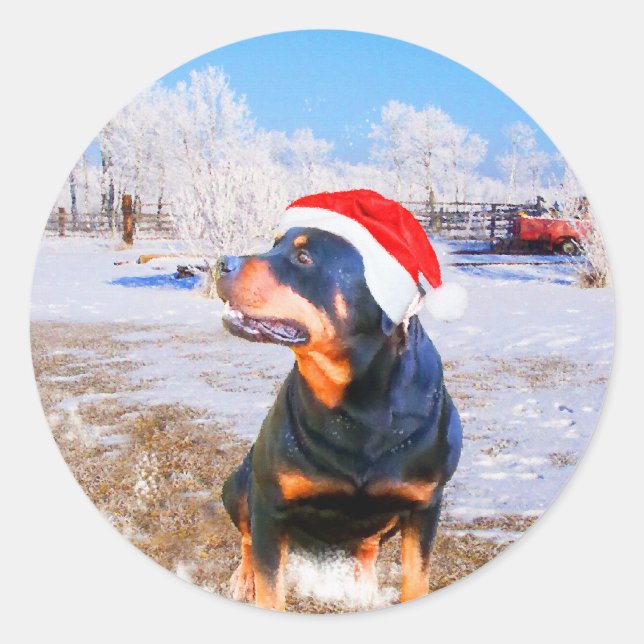 Adesivo Redondo Pintura de Natal do Cão Rottweiler (Frente)