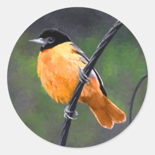 Adesivo Redondo Pintura de Oriole - Arte de Pássaro Original