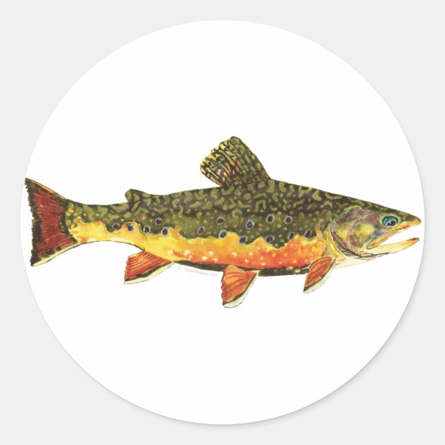 Adesivo Redondo Pintura de Peixes Brook Trout (Frente)