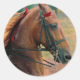 Adesivo Redondo Pintura do falso de Saddlebred