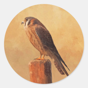Adesivo Redondo Pintura em Kestrel Americano - Arte original sobre