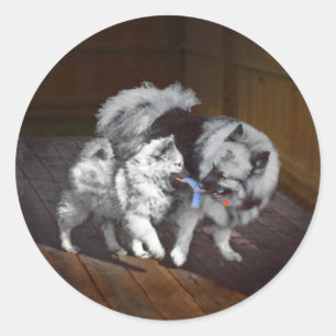 Adesivo Redondo Pintura em tempo de reprodução de Keeshond - Art
