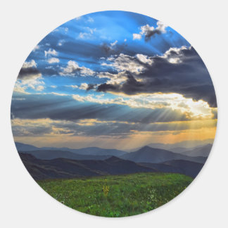 Adesivo Redondo Pintura Estética Em Vinhetas