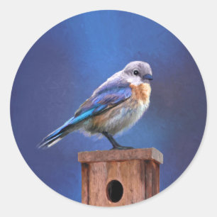 Adesivo Redondo Pintura (fêmea) do Bluebird - arte original do