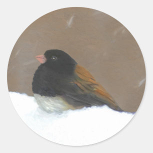 Adesivo Redondo Pintura Junco De Olhos Escuros - Arte De Pássaro