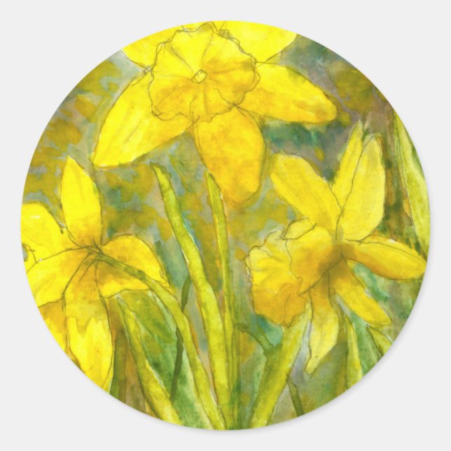 Adesivo Redondo Pintura Por Aquarela, Flores Amarelas, Daffodils (Frente)
