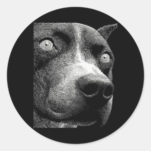 Adesivo Redondo Pit Bull Hipnótico Olhos Estranhos Weirdcore Assus