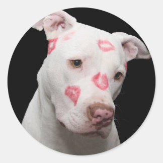Adesivo Redondo Pitbull Lover